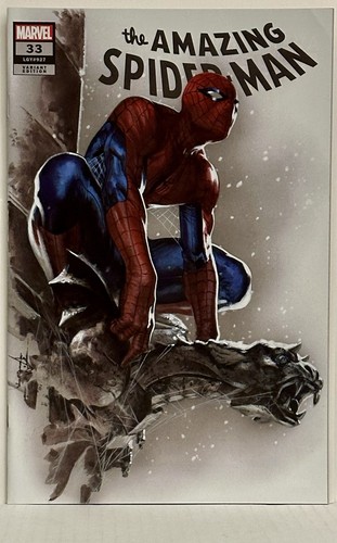 The amazing spider - the, spider-man